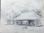 sketches07_new_zealand_1950
